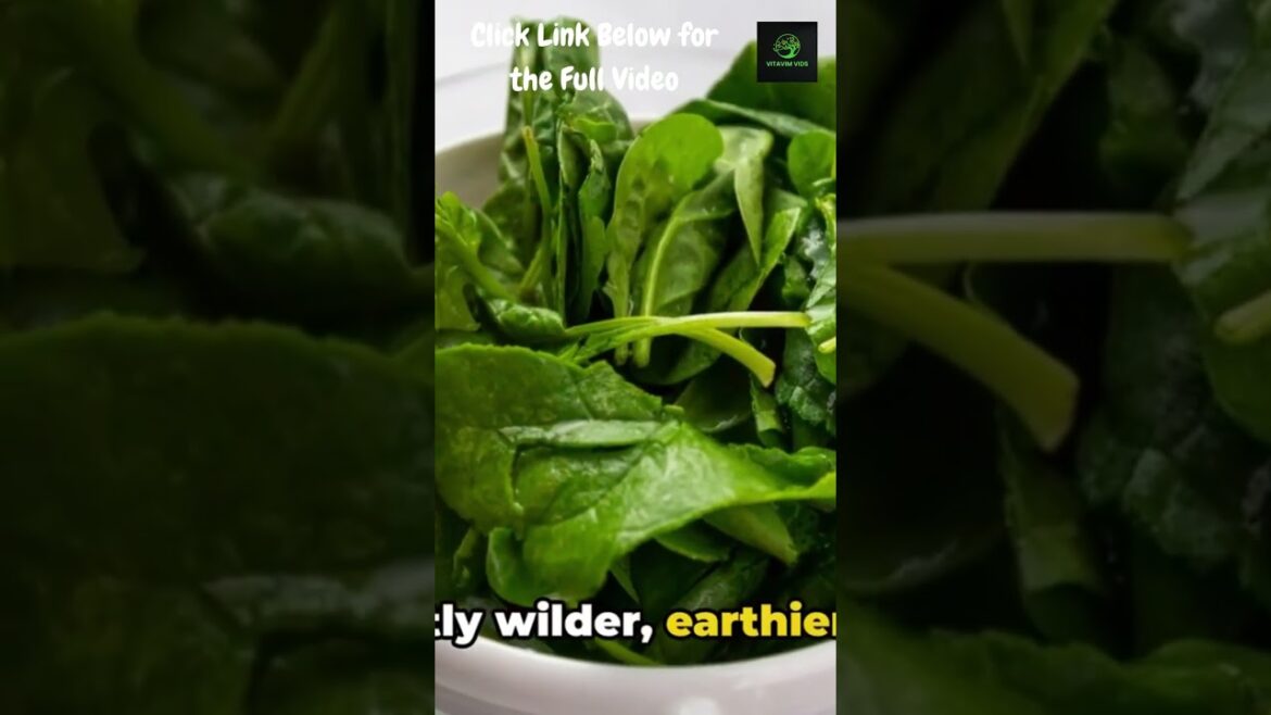 I'm Eating HIDDEN Edible Weeds from My Backyard and You Can Too!