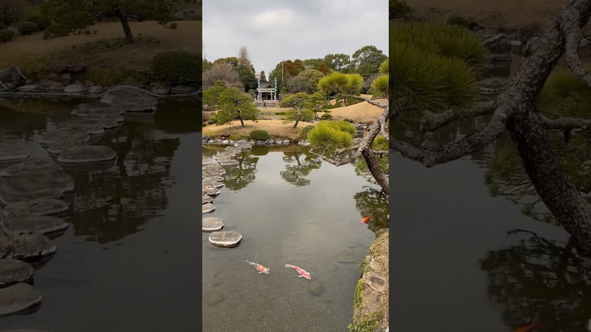 The Serenity And Elegance Of Japanese Garden#shorts @pinaylifeinfukuoka8254