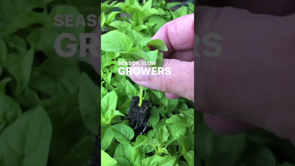 Storewide 20% off in APP and website! Kits, sets, equipment, tools, and more! Comment BLOCKER and Storewide 20% off in APP and website! Kits, sets, equipment, tools, and more! Comment BLOCKER and