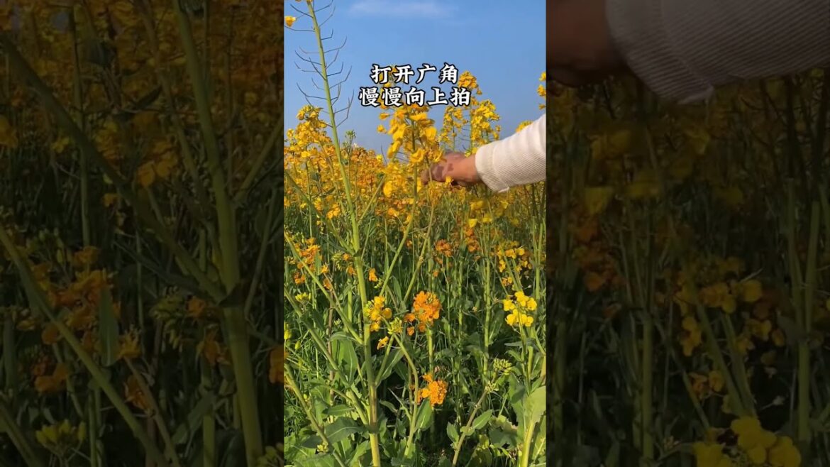 Amazing Top New Gadgets,|Smart Kitchen Appliances Amazon,| New Gadgets #shorts #viral #gadgets