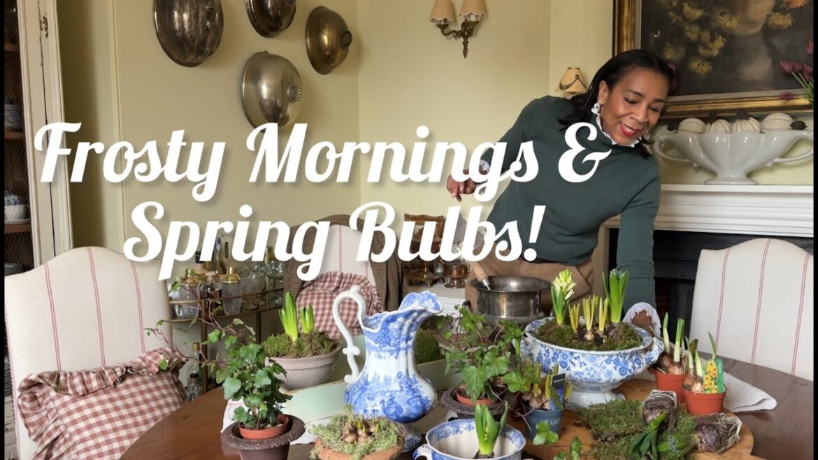 Slow, Frosty Mornings & Spring Bulbs. Slow, Frosty Mornings & Spring Bulbs.