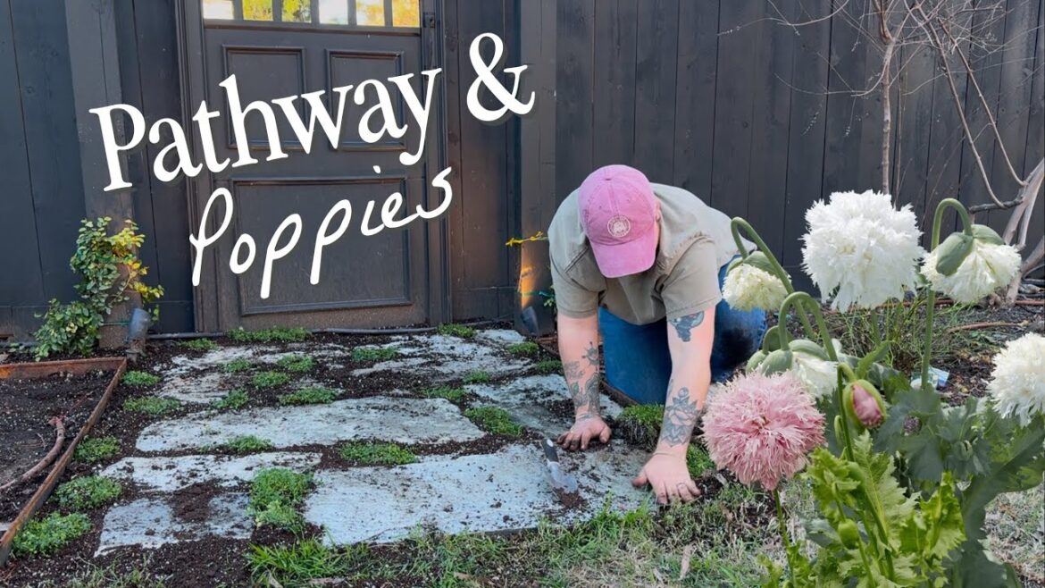 Easy Pathway Install & Planting Stunning Poppies! 🦢|| Visit Our Garden
