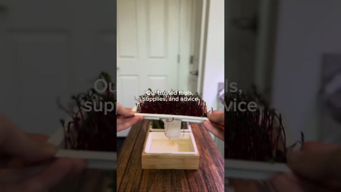 Who We Are: Gardener’s Supply Who We Are: Gardener's Supply