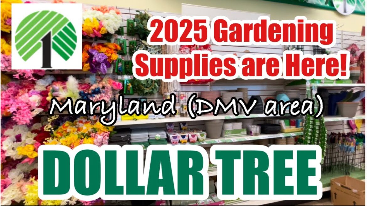 2025 Dollar Tree Gardening Supplies | Maryland (DMV area) #shopwithme #dollartree #gardening 2025 Dollar Tree Gardening Supplies | Maryland (DMV area) #shopwithme #dollartree #gardening