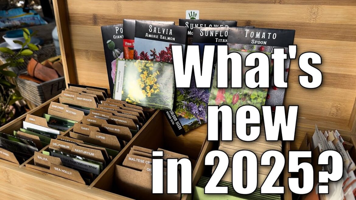 Seeds, Whats New for 2025