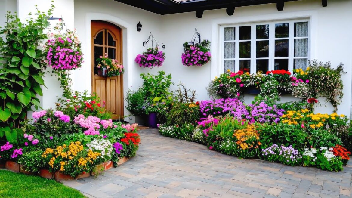 Top garden designs and the easiest to find and care for plants for your home Top garden designs and the easiest to find and care for plants for your home