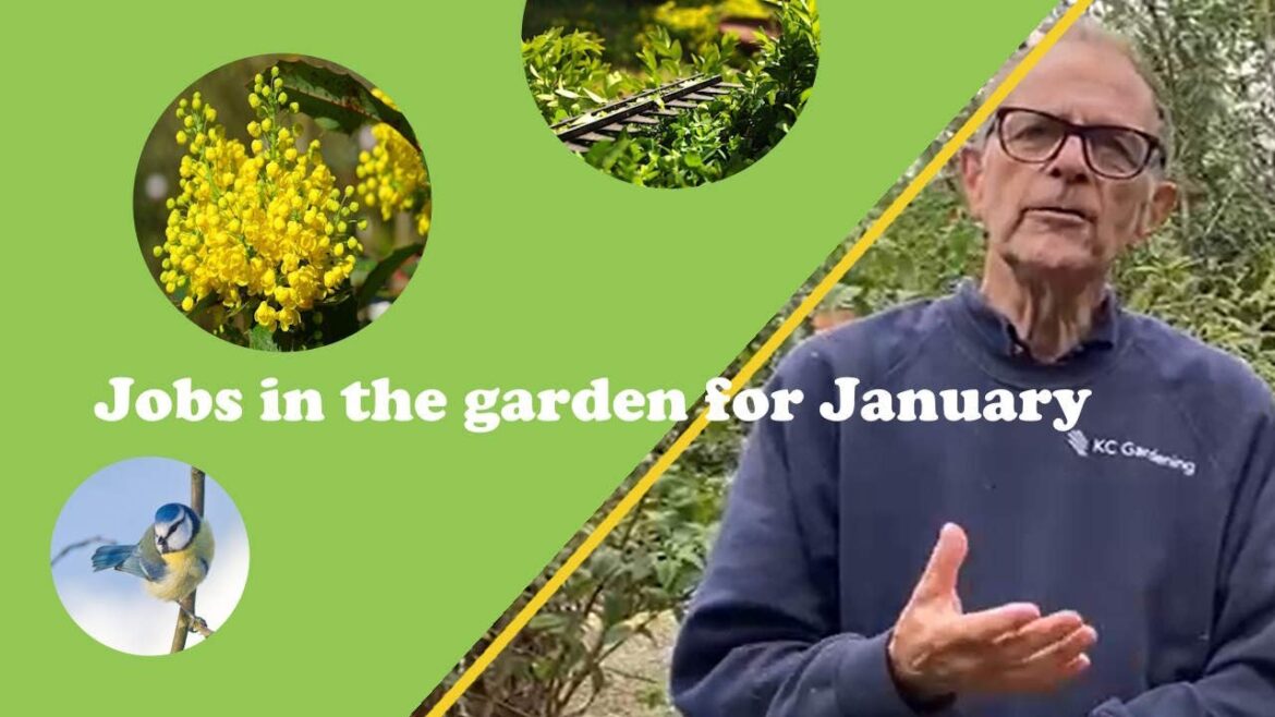 Ken's jobs for the garden during #January #gardeningtips #gardening