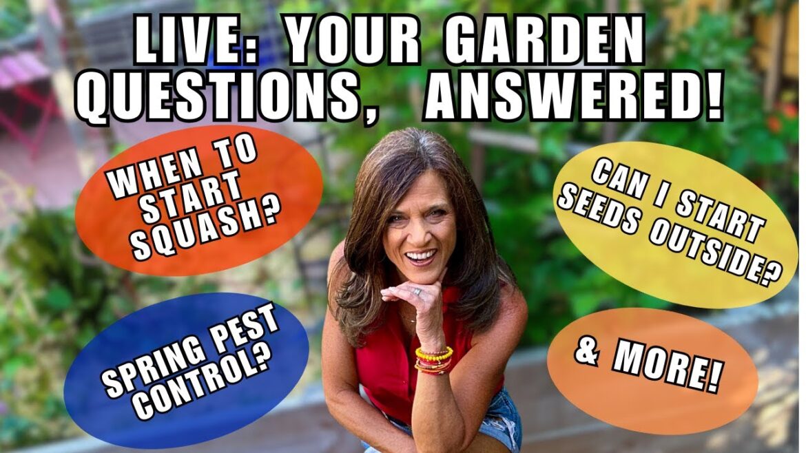 CaliKim: Live: Your Garden Questions, Answered! Live: Your Garden Questions, Answered!