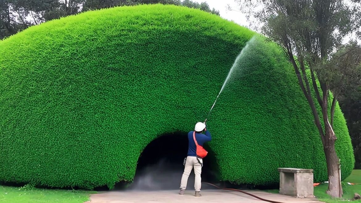 Relaxing and Satisfying: Watch These Garden Transformations 🌳 Relaxing and Satisfying: Watch These Garden Transformations 🌳