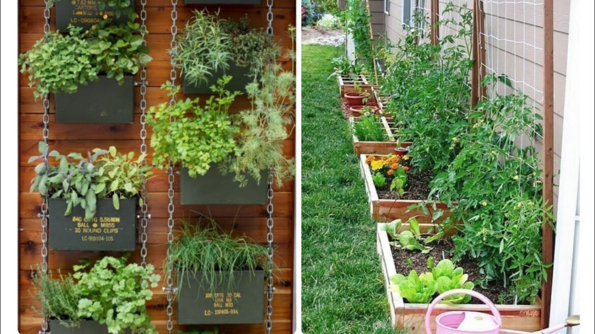 Ideas for small garden design | Small yard landscaping ideas