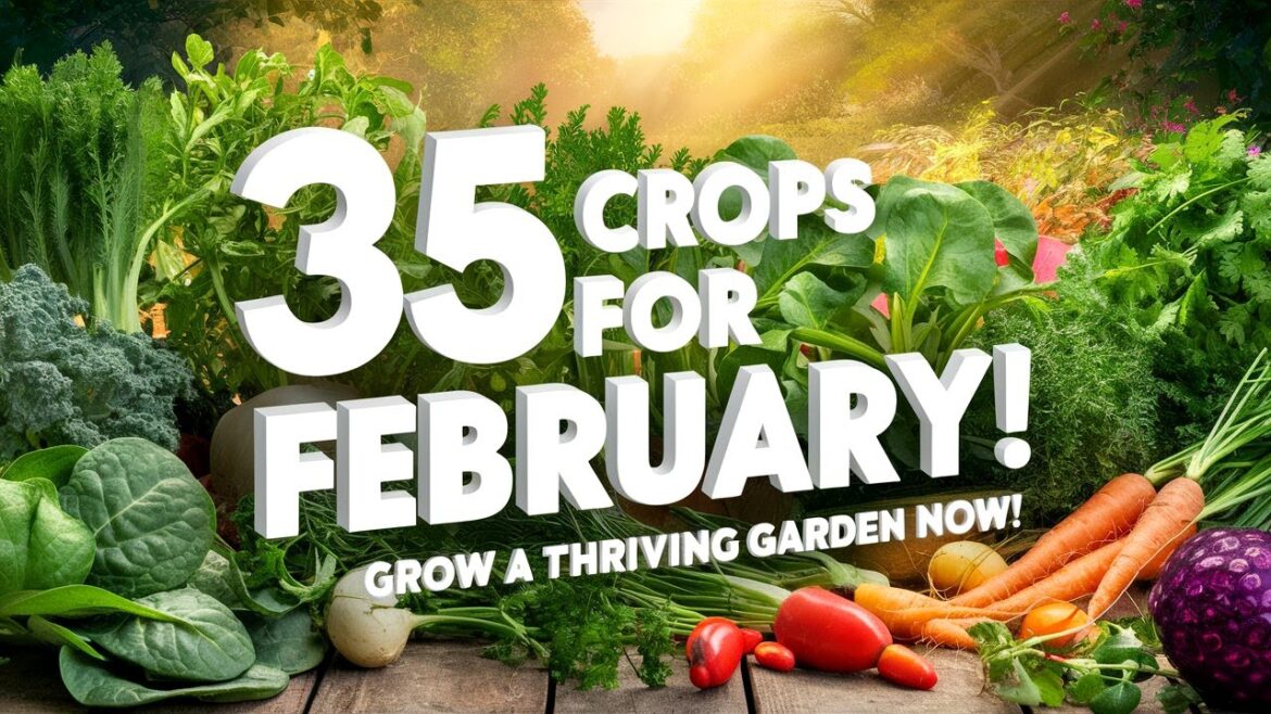 35 Crops to Plant in February for a Thriving Garden | Gardening Tips & Time-Lapse Guide