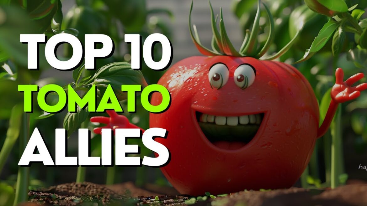 Tomato Allies: Top 10 Companion Plants for a Thriving Garden