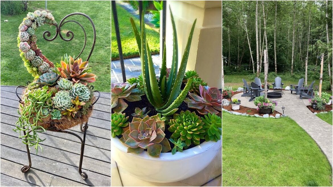 garden design,small garden,garden ideas,garden,small garden design,garden design ideas,small garden garden design,small garden,garden ideas,garden,small garden design,garden design ideas,small garden