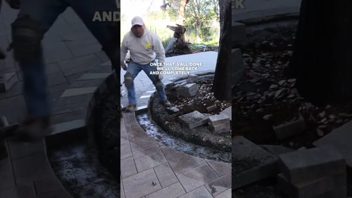 Nice Patio for the Spring Season? Leave a comment ☀️#bayarea #pavers #concrete