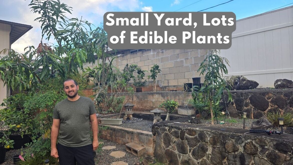 Lots of Edible Plants Packed into This Small Garden!