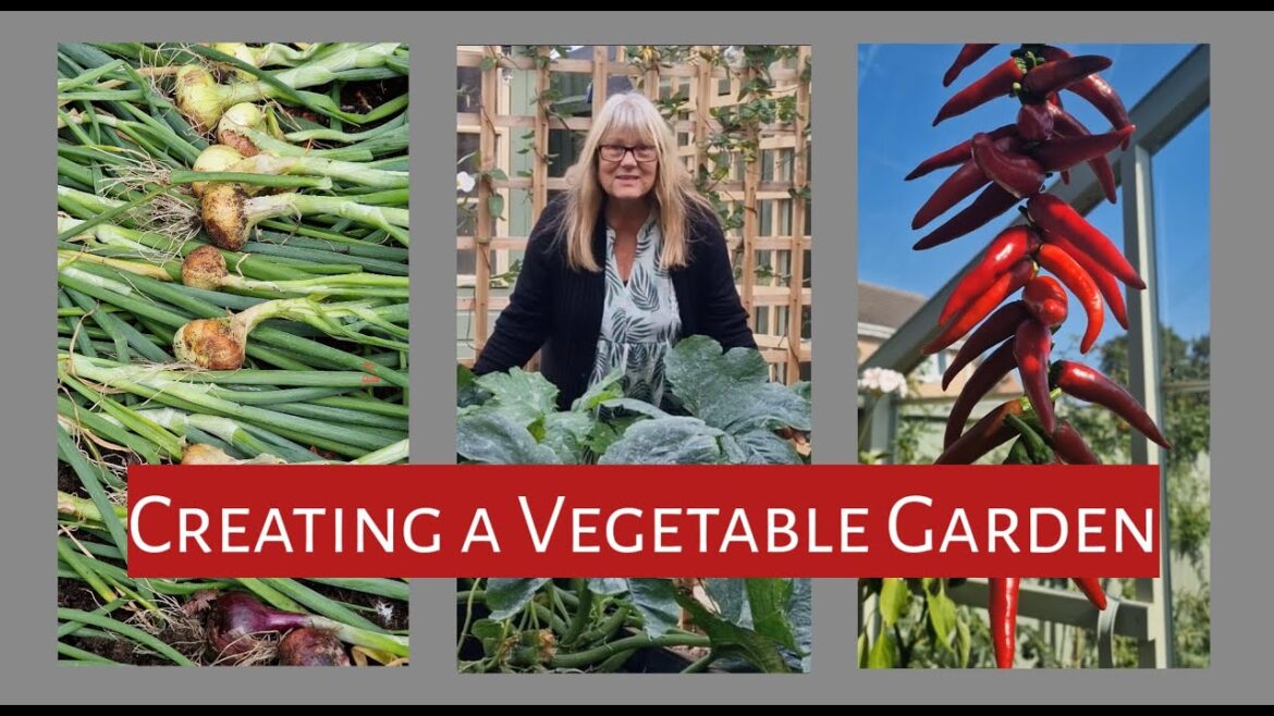 How to Create Your Own Vegetable Garden (Beginner's Guide)