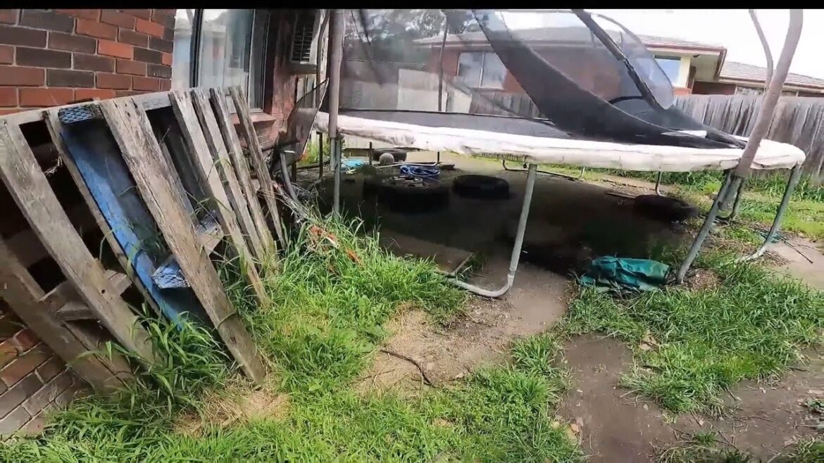 How the WORST BACKYARD on the block was SAVED in ONE DAY! How the WORST BACKYARD on the block was SAVED in ONE DAY!