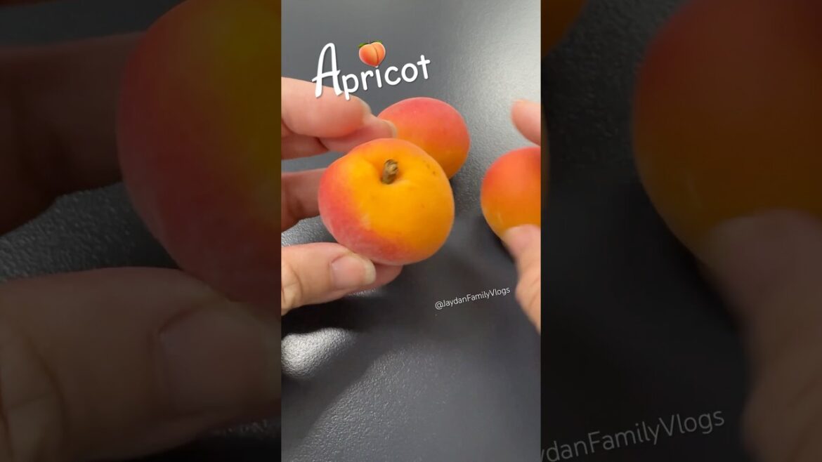Fruut cutting Apricot 😱 #shorts #satisfying #wow #fruit #enjoy #garden Fruut cutting Apricot 😱 #shorts #satisfying #wow #fruit #enjoy #garden