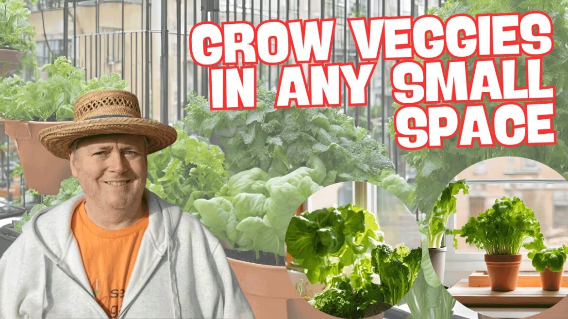Can You REALLY Grow Your Favorite Veggies in a SMALL Space? Can You REALLY Grow Your Favorite Veggies in a SMALL Space?