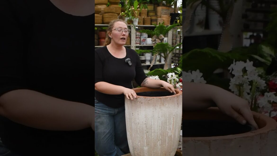 Plant a Living Winter Container Garden! It's an Investment in Your Spring Garden!