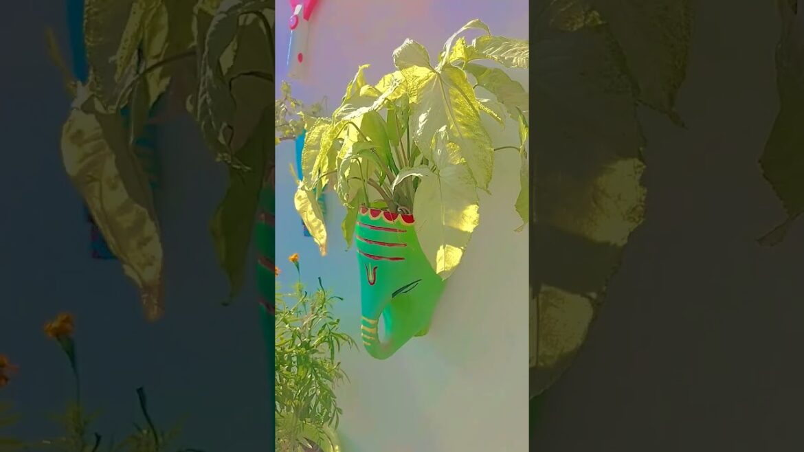 Small garden ideas #plants #gardening #flowers