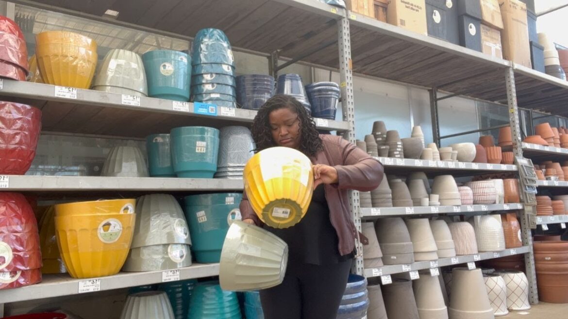 BIG BOX PLANT SHOPPING At Lowes + small nursery plant haul