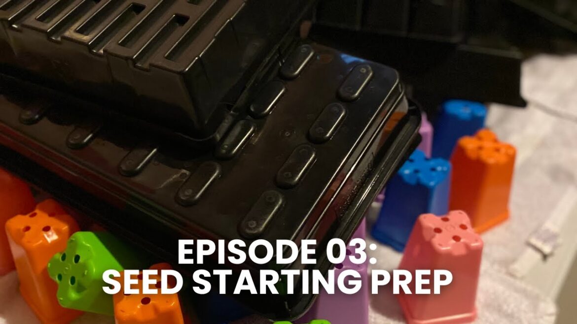 Seed Starting Prep For The 2025 Garden Season