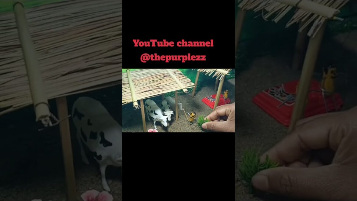 mini farming | diy farming | creative videos | tiny house | mini tractor | sun farming | animals act mini farming | diy farming | creative videos | tiny house | mini tractor | sun farming | animals act