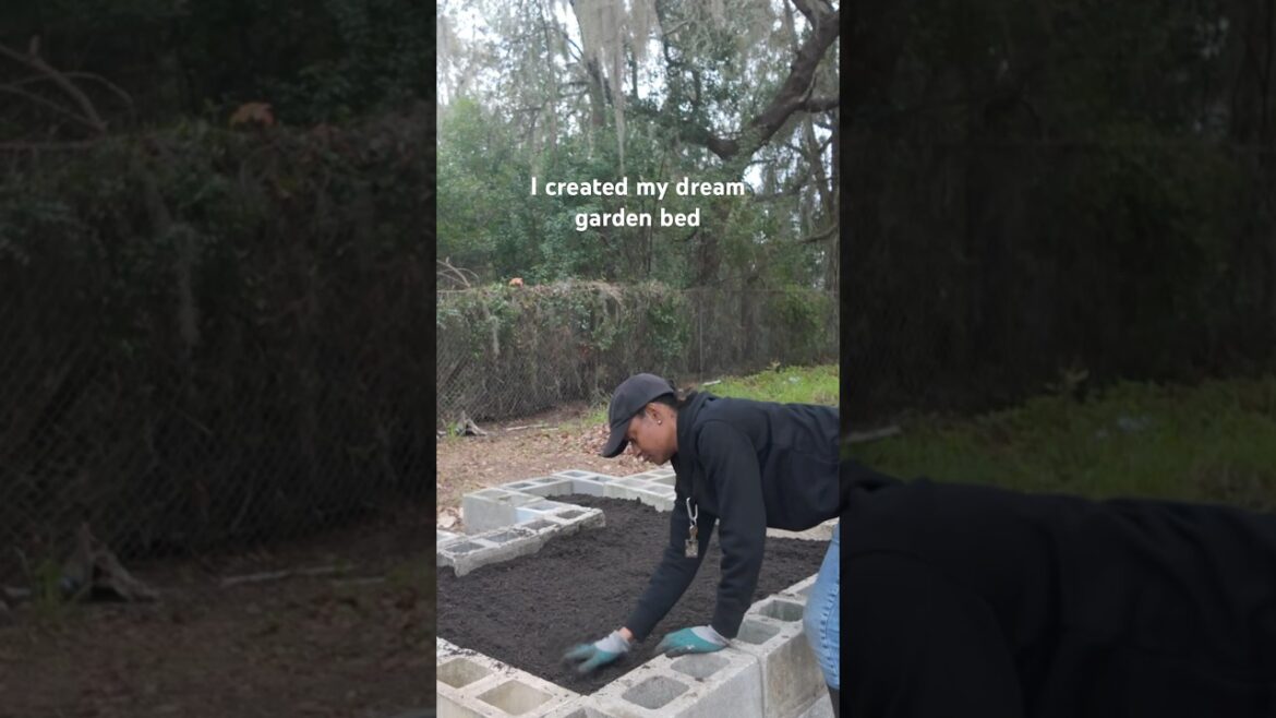 The Secret to Lush Raised Beds Revealed! 🌱 #gardeninghacks #diyprojects #gardener