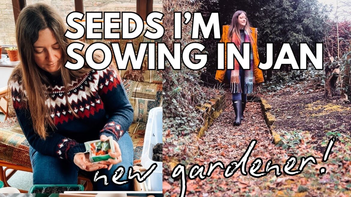 Seeds I'm sowing in January // Beginner Gardener UK