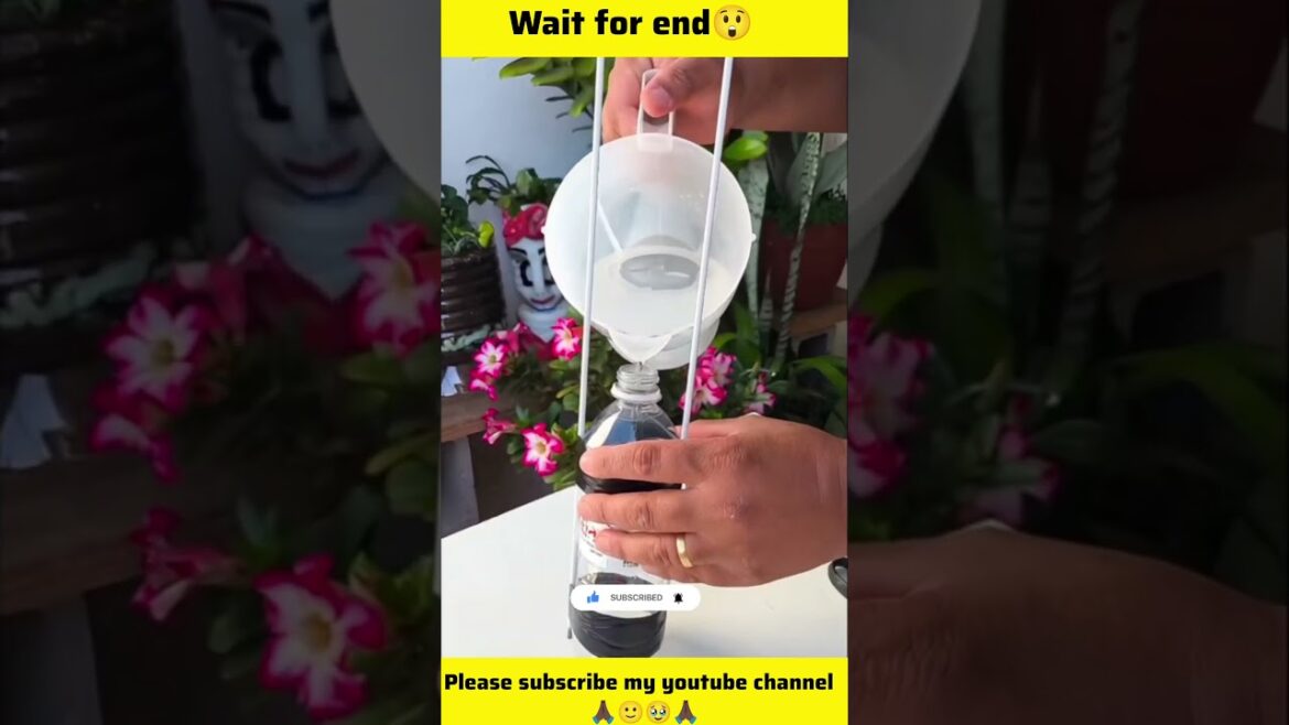 🏡Amazing ideas for water supply to plant ☘️ #gardening #youtubeshorts #planting #shorts #viralvideo