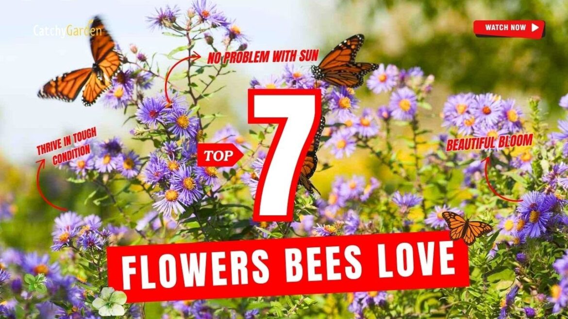 TOP 7 FLOWERS BEES LOVE 🐝🌻🌸 // Gardening Tips
