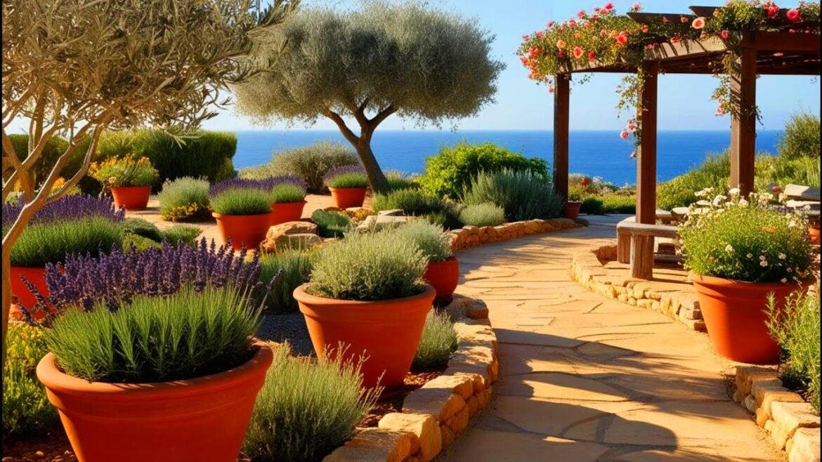 Stunning Coastal Gardens /Landscaping Ideas To Transform Your Space