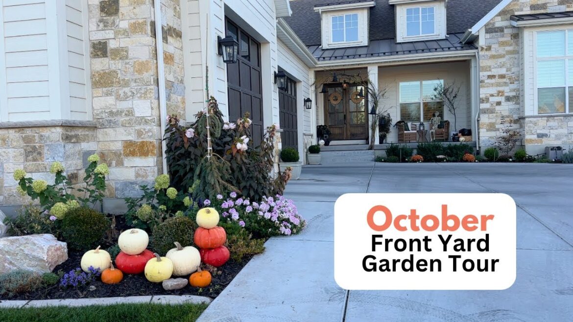 October Front Yard Garden Tour!!