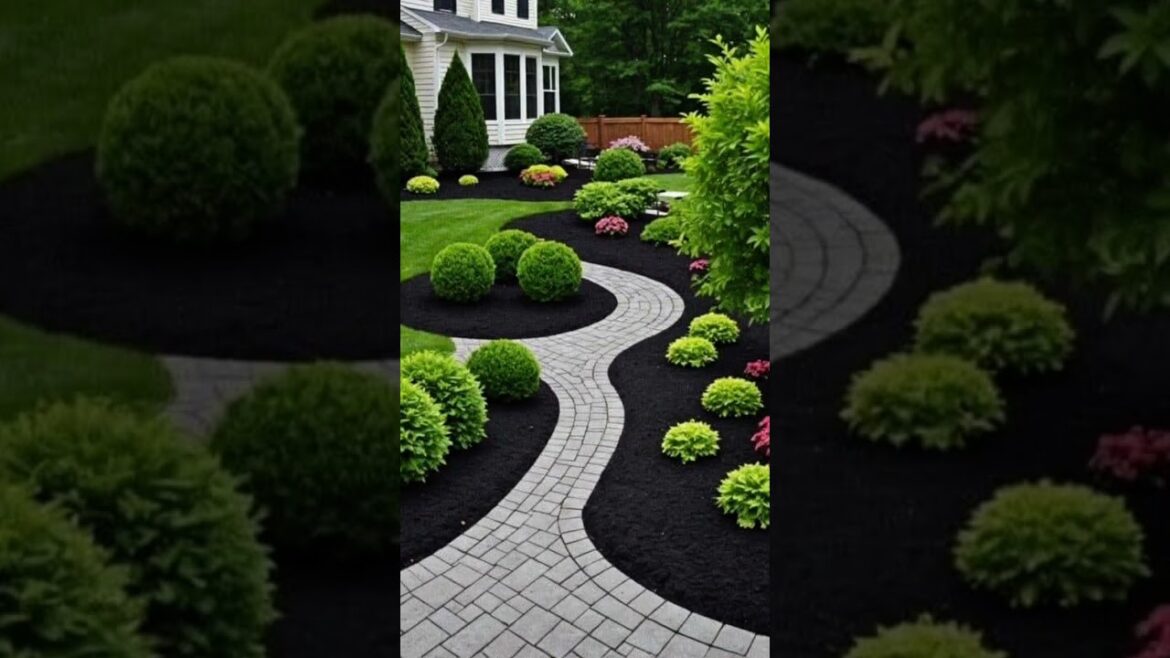 Transform Your Garden with These Design Ideas🌳🌱💚☘️🌴🌿🎄 #birds #birdsounds #nature #shorts