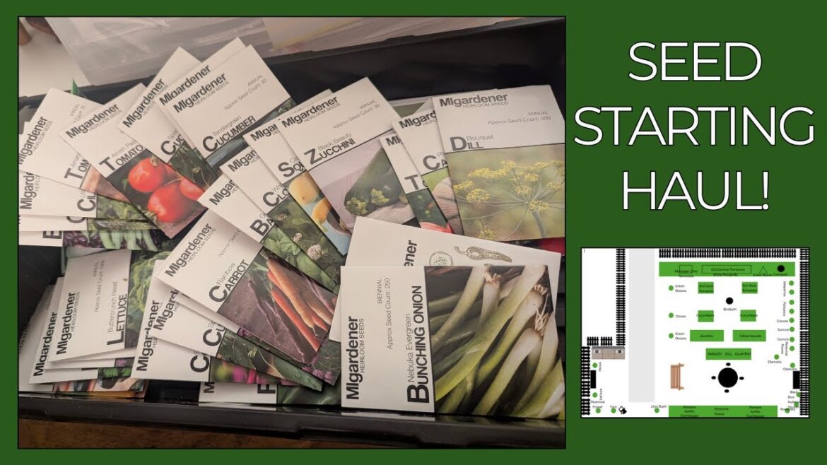 OH MY!  Seed Starting Haul | Quarter Acre Cottage Homestead