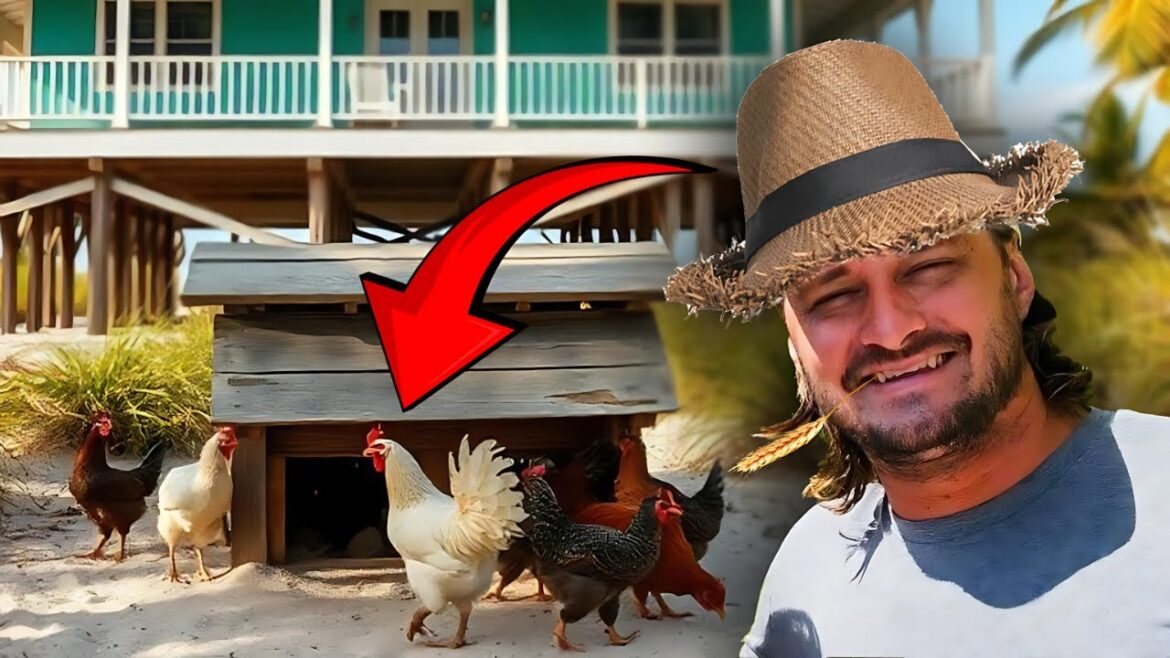 I’m building a backyard chicken coop! Looking for tips… I'm building a backyard chicken coop! Looking for tips...