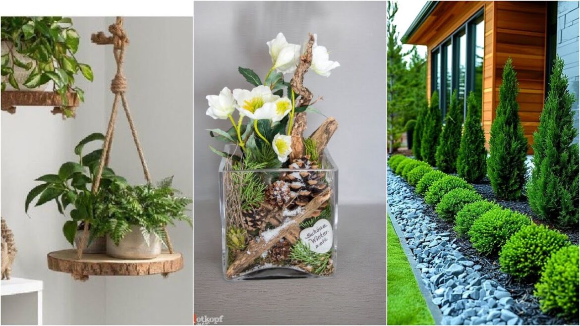 garden design,small garden,garden ideas,garden,small garden design,garden design ideas,small garden garden design,small garden,garden ideas,garden,small garden design,garden design ideas,small garden