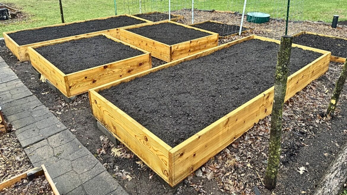 Garden Design Anyone Can Build and Afford Garden Design Anyone Can Build and Afford