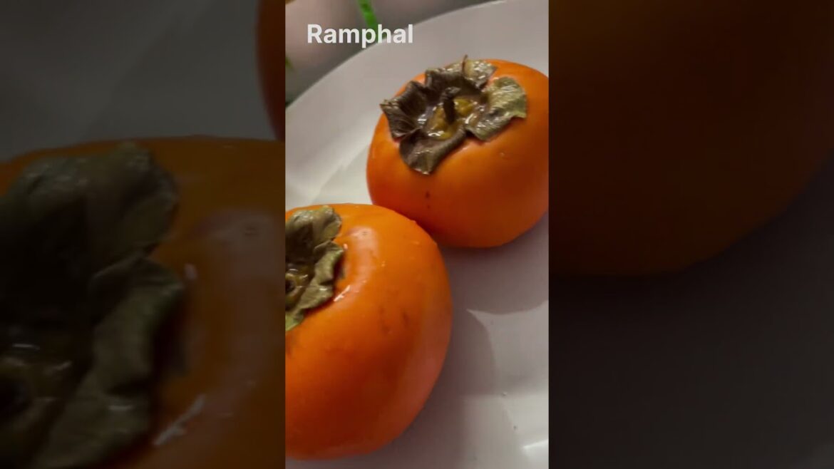 Persimmon or ramphal, it’s called kaki in Japanese #houseplant #nature #houseplantlove #gardening