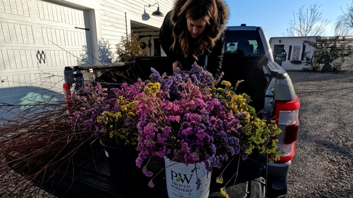 Using All Our Dried Statice in a Display at the Garden Center! 🥰🙌💚 // Garden Answer
