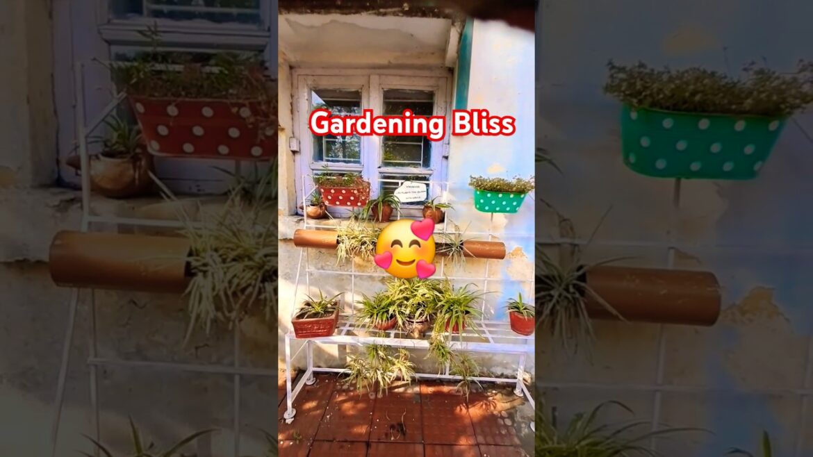 Gardening Tips for Beginners πΏπ #shortsfeed #gardening #plants Gardening Tips for Beginners πΏπ #shortsfeed #gardening #plants