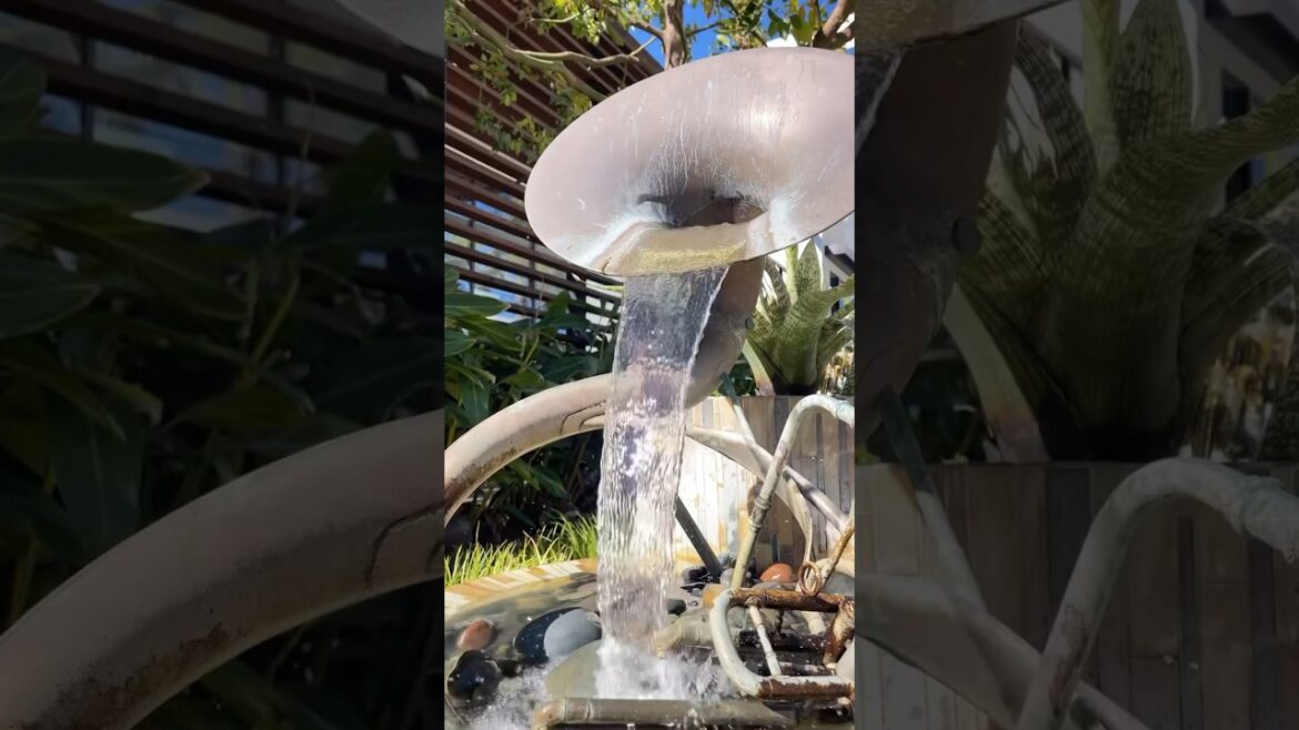 One of the coolest commercial landscapes I’ve seen! 😎 #cool #landscaping #garden