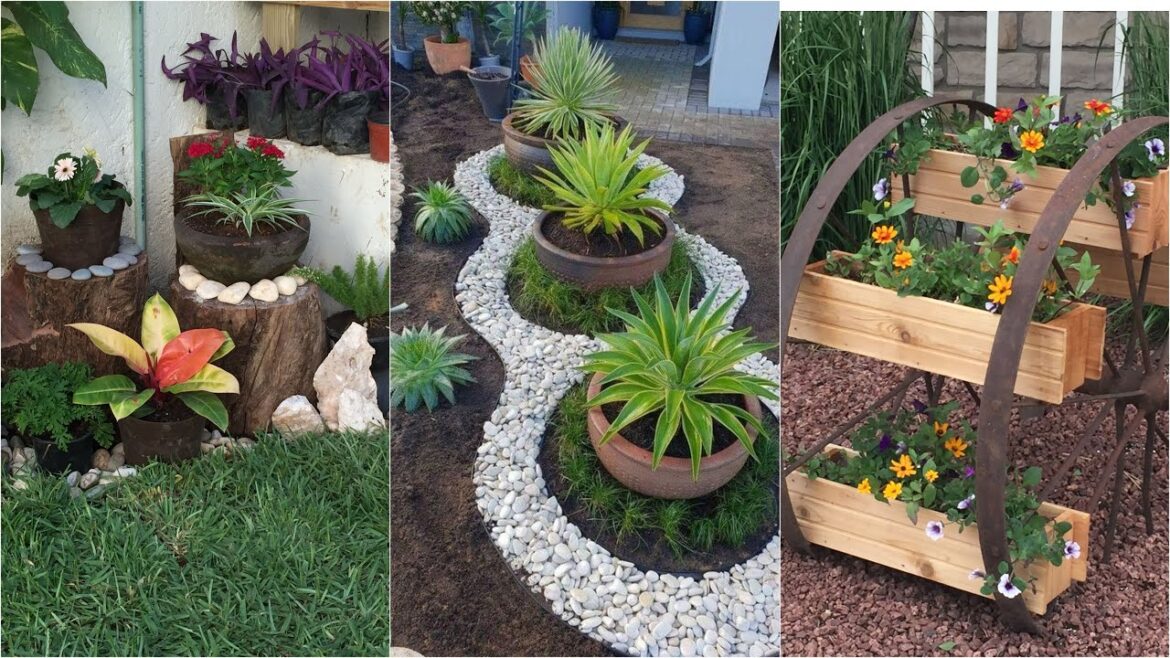 garden design,small garden,garden ideas,garden,small garden design,garden design ideas,small garden garden design,small garden,garden ideas,garden,small garden design,garden design ideas,small garden