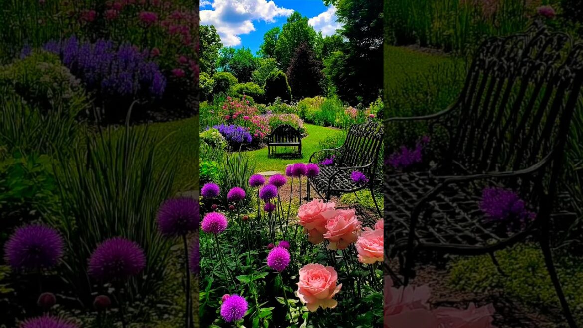 Gardening Trends Ideas 🏡💓🌴🌈🦩🦋🌿🌸 #flowers #garden #nature #plants #shorts