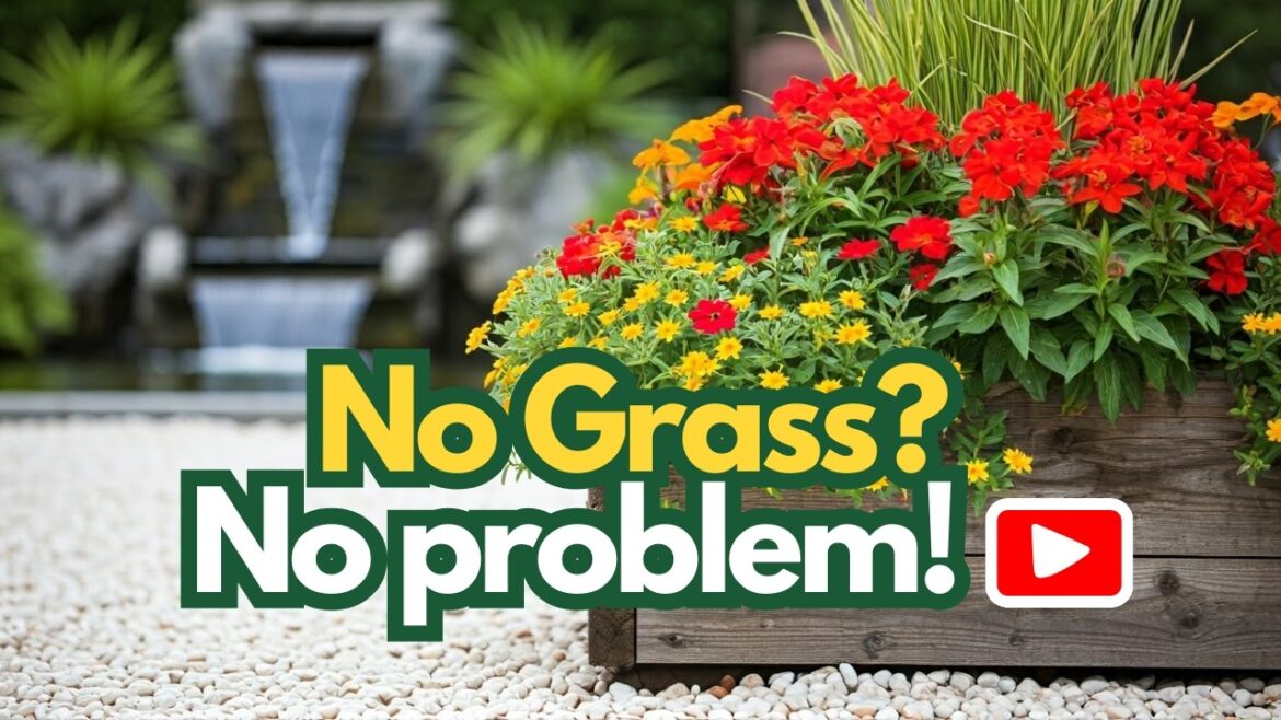 ▶️ DIY Backyard Oasis : No Grass Landscape Design 🌿✨