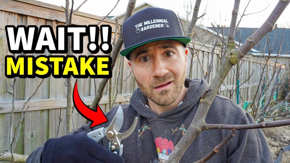 Don’t Make This PAINFUL Mistake When Pruning Trees! Don't Make This PAINFUL Mistake When Pruning Trees!