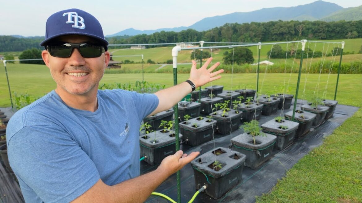 A Trellis To Make You Jealous | Tennessee Backyard Garden Tour