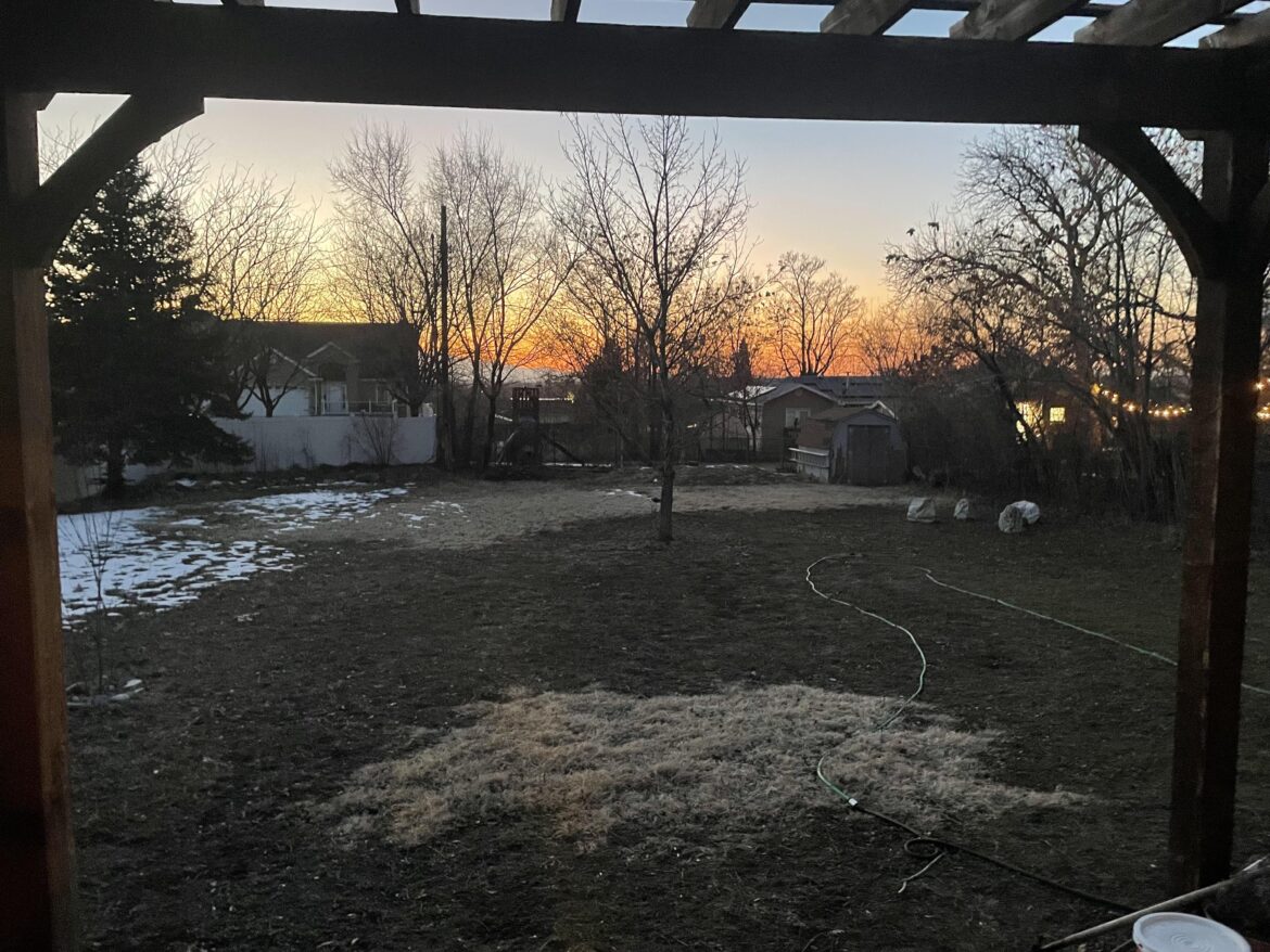 Advice needed. Bermuda grass lawn with big area of it in the middle dead. In spring I’m planning to try and revive with transplants from healthy parts, also have lots of healthy grass in the front. Dead space is around 2-3000sqft I’m poor so trying to be frugal, is it hopeless??