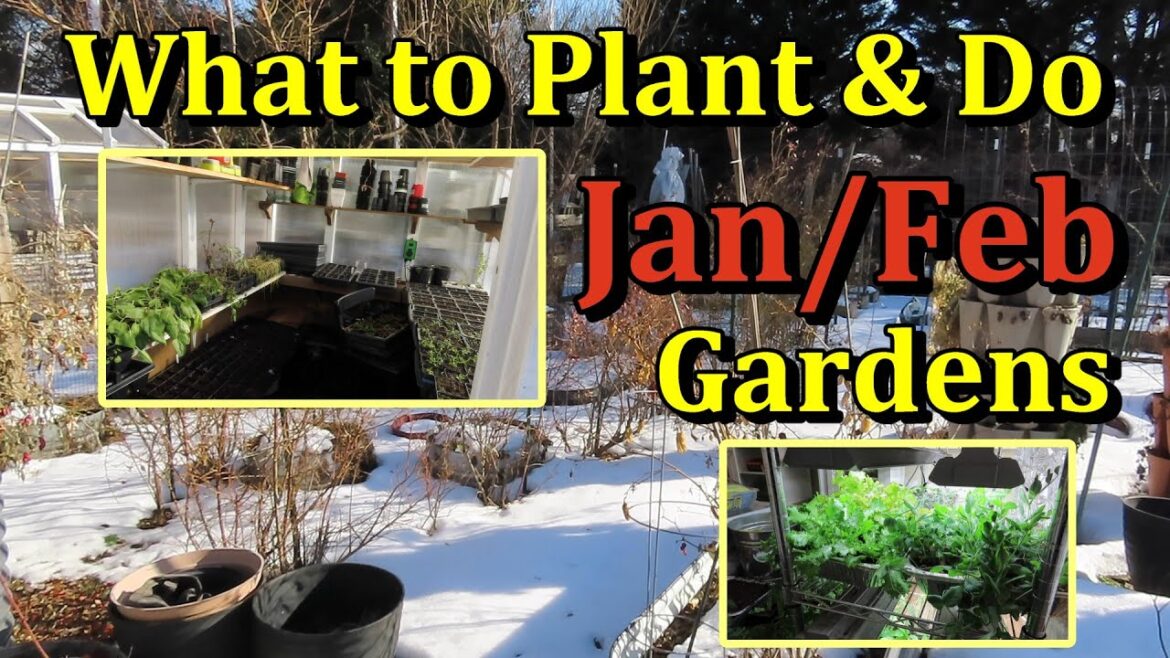 What to Plant in January/February & Garden Chores (Your Monthly Garden E-1)